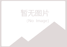 鹤岗东山迷失能源有限公司